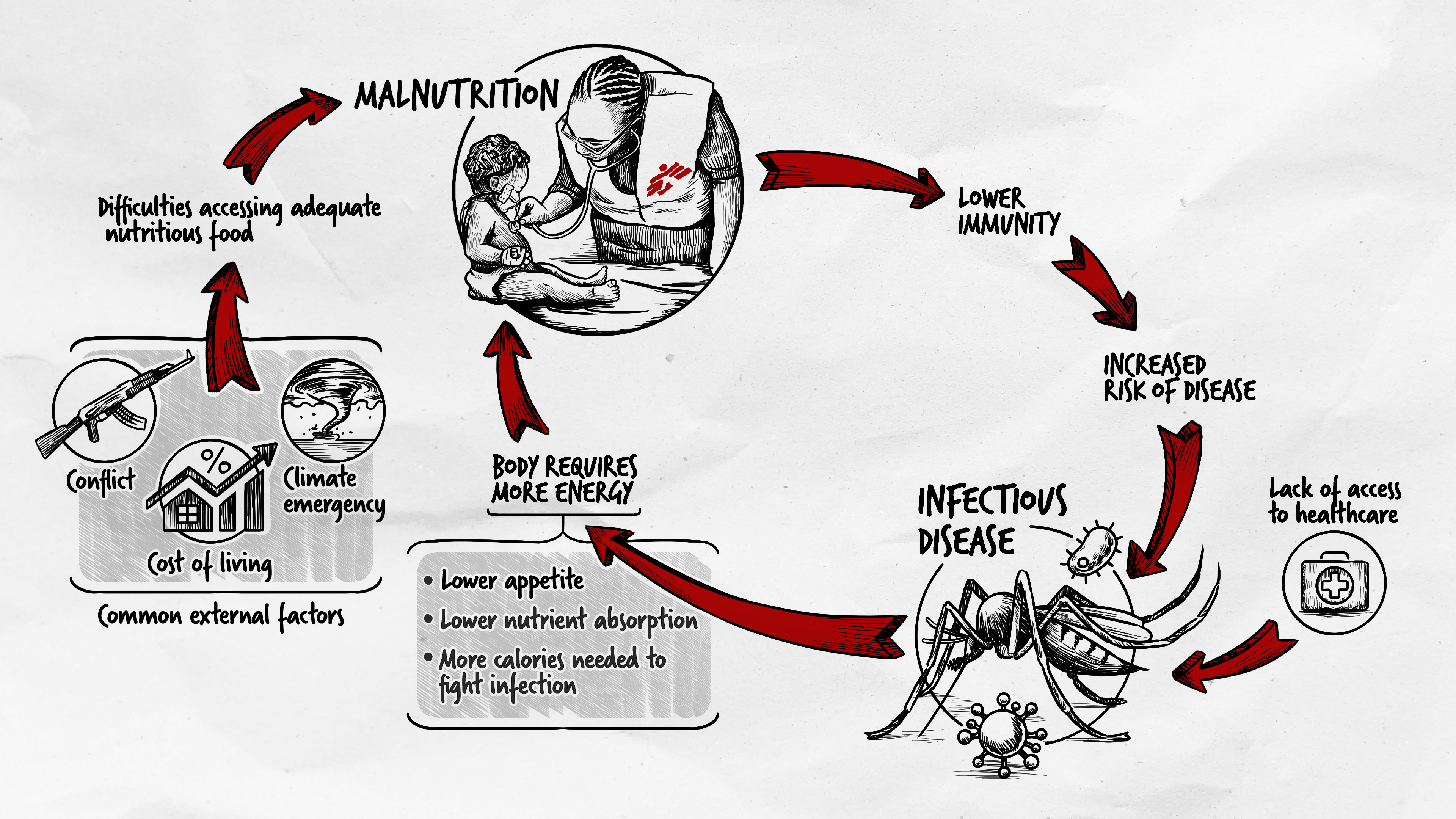 An infographic showing the malnutrition cycle.